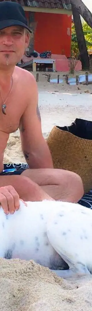 Wiedersehen mit dem Strandhund...